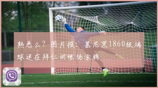 熟悉么？图片报：慕尼黑1860极端球迷在拜仁训练场涂鸦