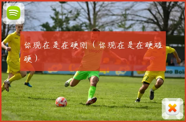 你现在是在硬刚（你现在是在硬碰硬）