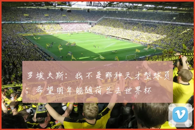 罗埃夫斯：我不是那种天才型球员；希望明年能随荷兰去世界杯