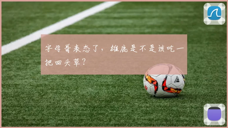 字母哥表态了，雄鹿是不是该吃一把回头草？