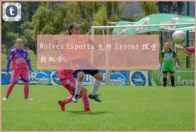 Wolves Esports 允许 Lysoar 探索新机会