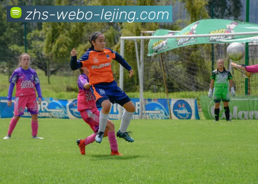 乐竟体育品牌故事